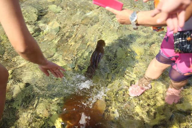 第三篇风景 她美到使你哭 搭伴旅行 西沙之旅