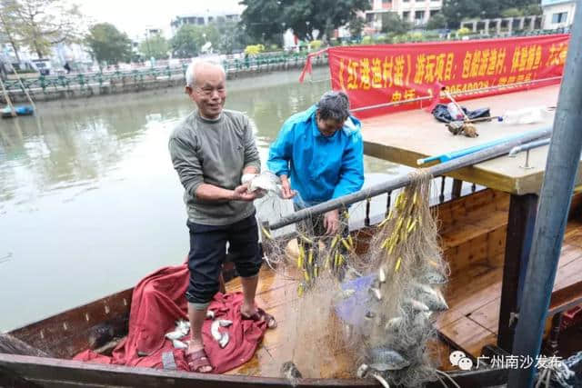 游船摇撸再现传统渔家风情，万顷沙红港渔村游添旅游新亮点