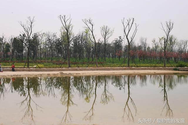 蚌埠春季旅游，景色如此美丽