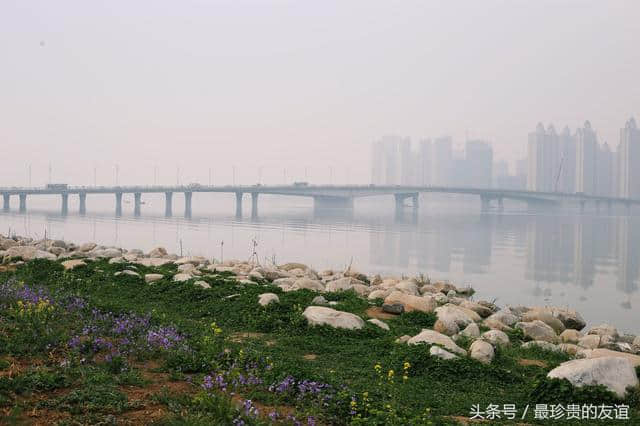 蚌埠春季旅游，景色如此美丽