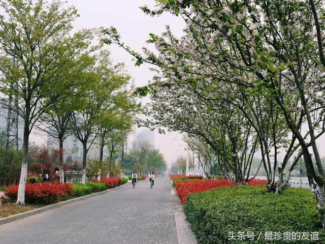 蚌埠春季旅游，景色如此美丽