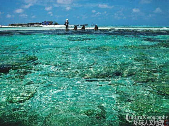 去西沙群岛！去西沙群岛！去西沙群岛！史上最强西沙旅游攻略