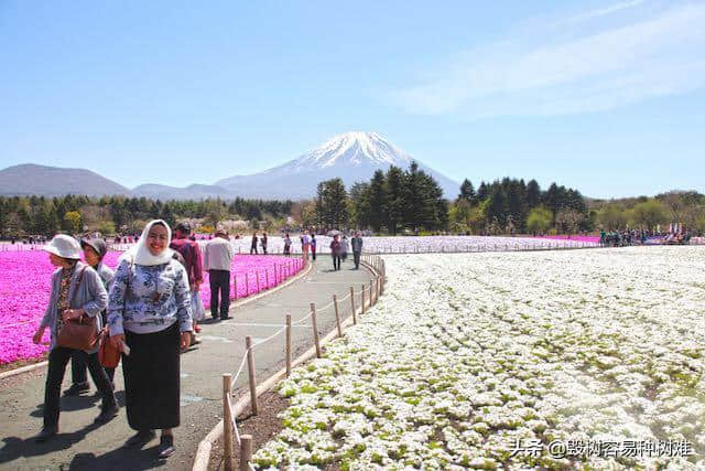 居住在日本的外国人推荐的日本旅游景点