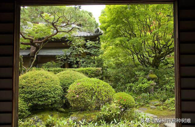 居住在日本的外国人推荐的日本旅游景点