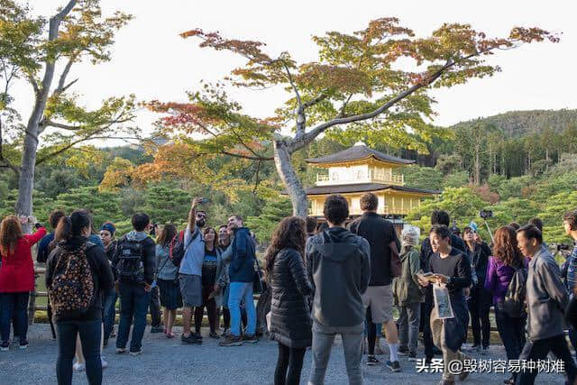 居住在日本的外国人推荐的日本旅游景点