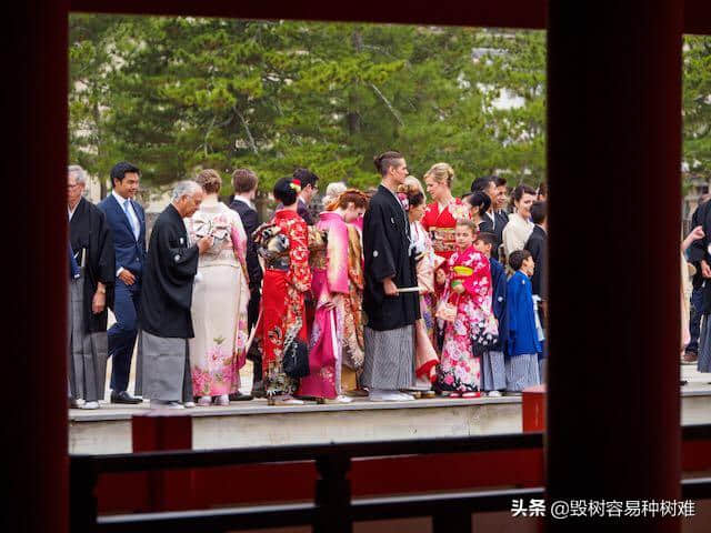 居住在日本的外国人推荐的日本旅游景点