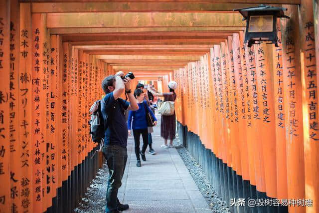 居住在日本的外国人推荐的日本旅游景点