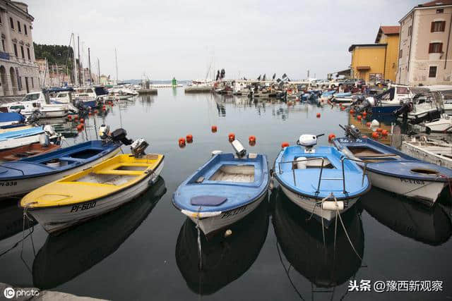 我们生活的小城有天鹅湖、地坑院还有温塘，简直就是一座旅游城市