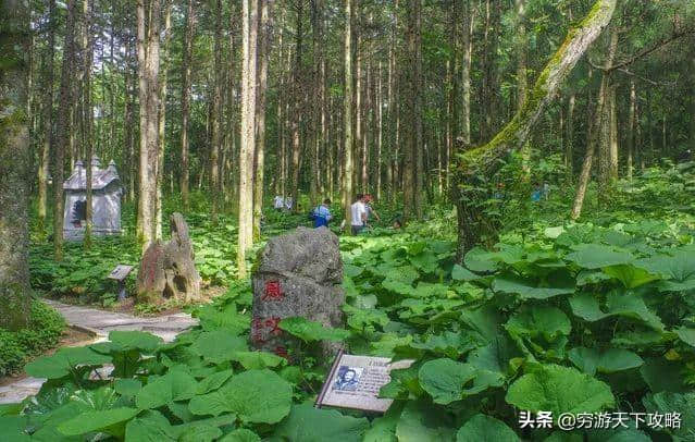 中国夏都养生天堂“洛阳白云山”旅行攻略