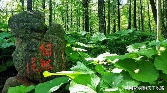 中国夏都养生天堂“洛阳白云山”旅行攻略