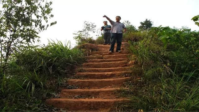 泸州：合江旅游宝地，古道·雄关·老山居