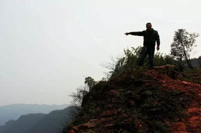 泸州：合江旅游宝地，古道·雄关·老山居