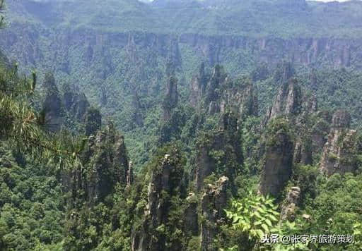 暑假张家界三日游（2019最新旅游攻略）