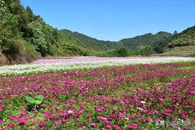 给力！百色这17个村屯被列入全区重点培育少数民族特色村寨！有你们村吗？