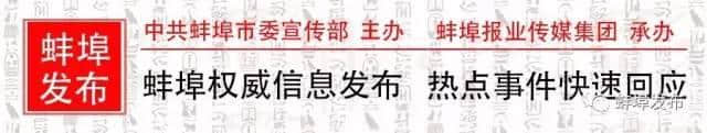 厉害了！蚌埠长假接待游客244.6万人次，各景点人从众……