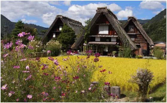 走进日本丨那些人少景美的日本旅游景点