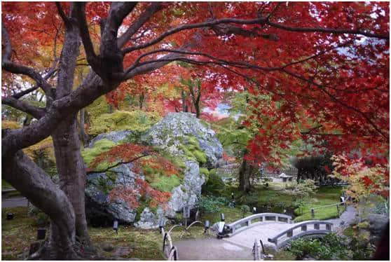 走进日本丨那些人少景美的日本旅游景点