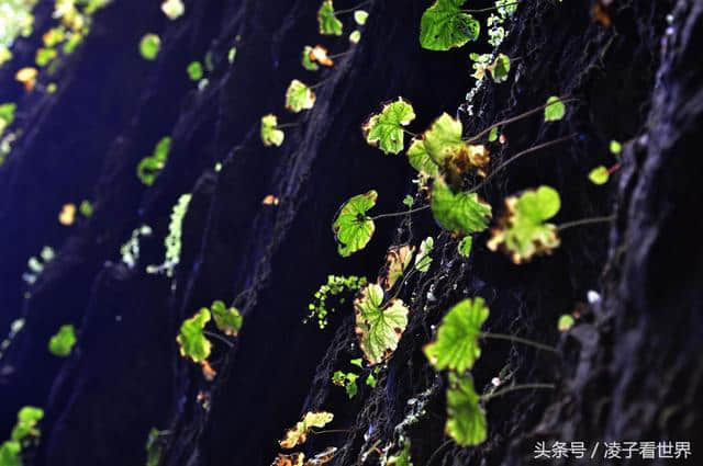 周末自驾京郊野三坡和孩子一起探险百里峡