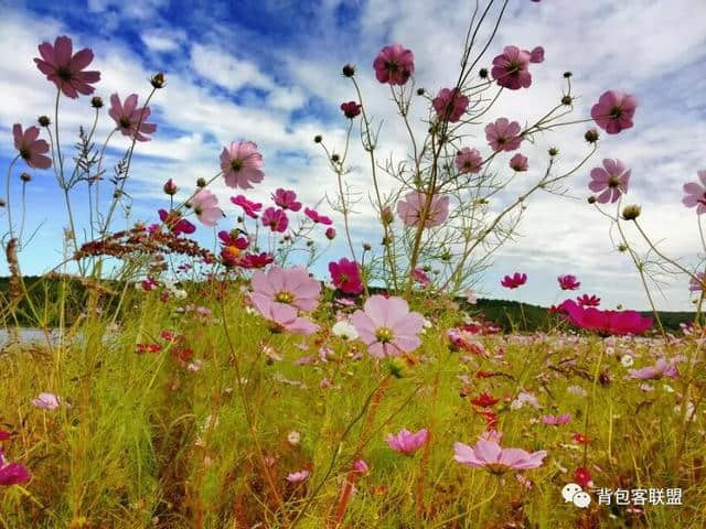 净月潭旅游攻略（简化版）