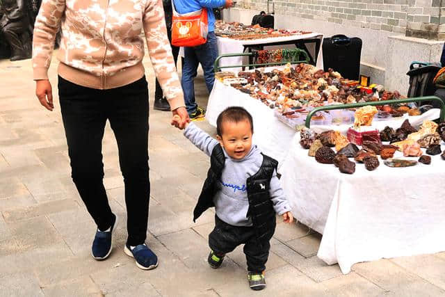 元旦好去处！三乡两个文化节同时举办，将给你带来视觉和味觉冲击