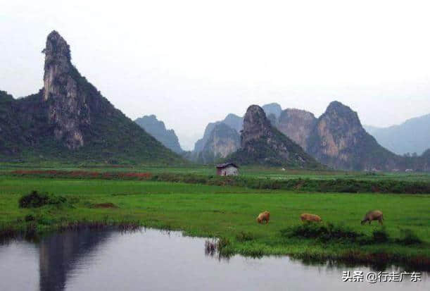 还花大价钱去国外旅游？广东省内这些超美景色就能满足你！