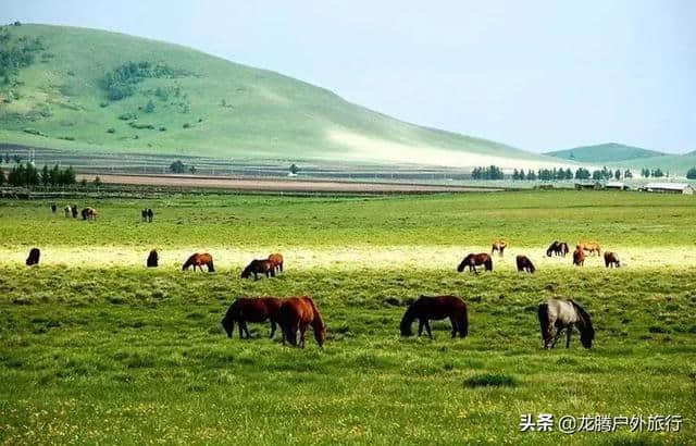 坝上草原的春天来了，也只有坝上， 才能给你一场风花雪月的梦。