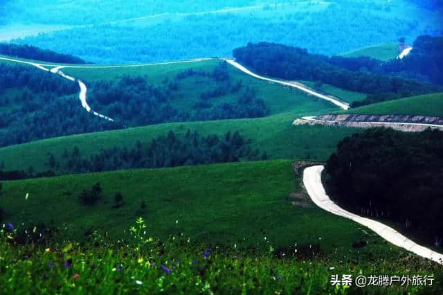 坝上草原的春天来了，也只有坝上， 才能给你一场风花雪月的梦。