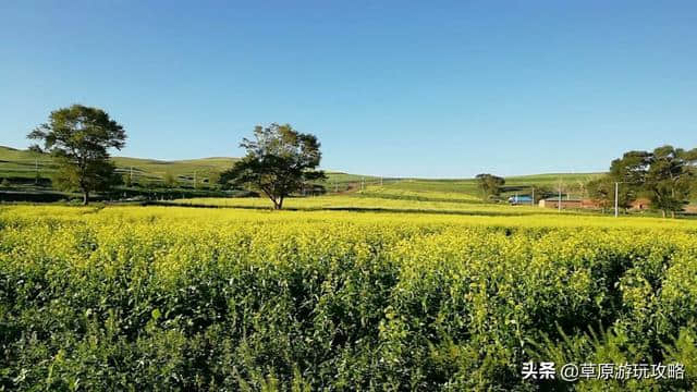 游记｜坝上草原周末游，去这几个景点，省钱攻略