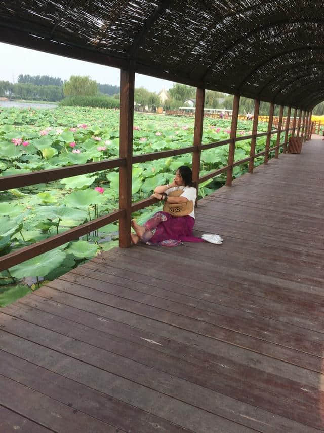 「紫塞」京津冀周边乡村旅游攻略四：我和我的发小游白洋淀（望月岛4号）