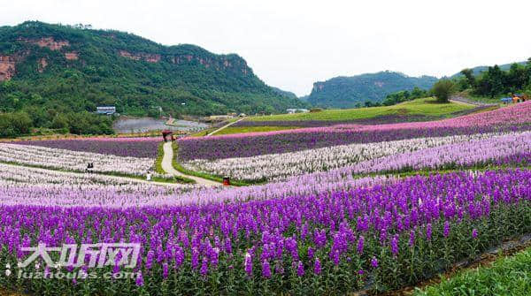 五一小长假气候适宜 泸州本地旅游线路推荐