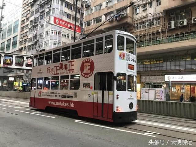 游记：网友分享香港旅游前注意事项+游玩线路（建议收藏转发）