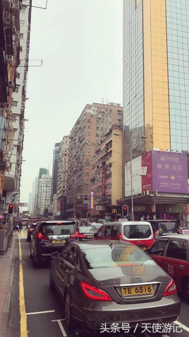 游记：网友分享香港旅游前注意事项+游玩线路（建议收藏转发）