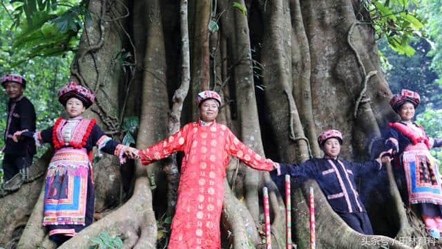 广西田林：一个待开发的唯美自然生态乡村旅游处女地