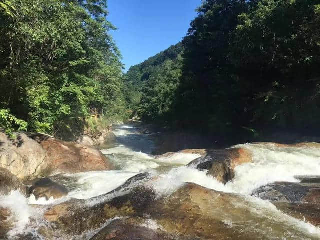 请转告您的朋友带上家人，冬去海南岛，夏来太白城！