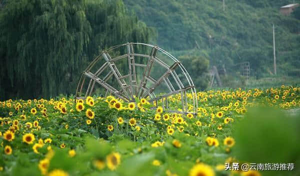 7月云南最美的季节，在对的时间去对的地方