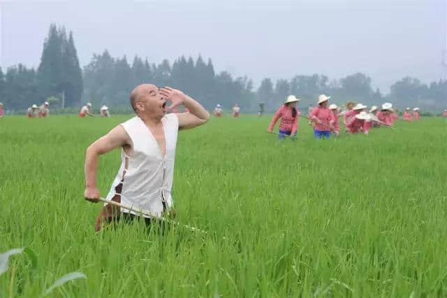 巴中恩阳夏季旅游愁去处？游山、玩水、摘水果……恩阳乡村游打包全送你