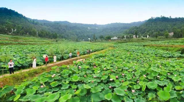 巴中恩阳夏季旅游愁去处？游山、玩水、摘水果……恩阳乡村游打包全送你