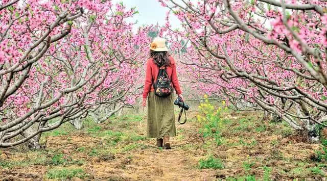 巴中恩阳夏季旅游愁去处？游山、玩水、摘水果……恩阳乡村游打包全送你