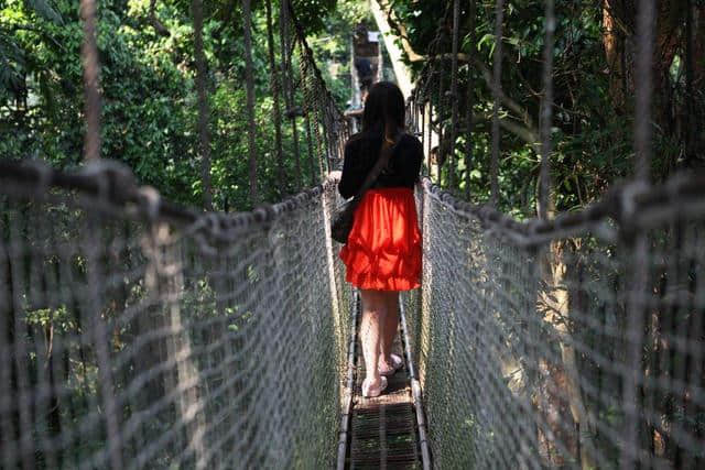 在云南西双版纳旅游，有哪些知名景点在等着你