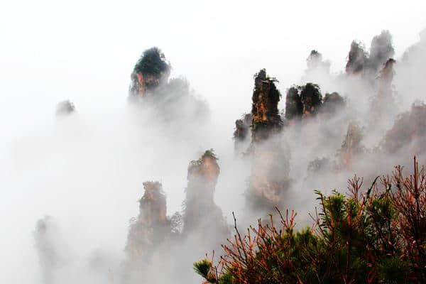 什么时候去张家界旅游最好，四日游怎么玩？