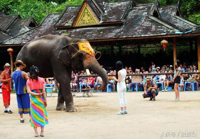 版纳游客说逛西双版纳三个景点等同于一个景点走三遍