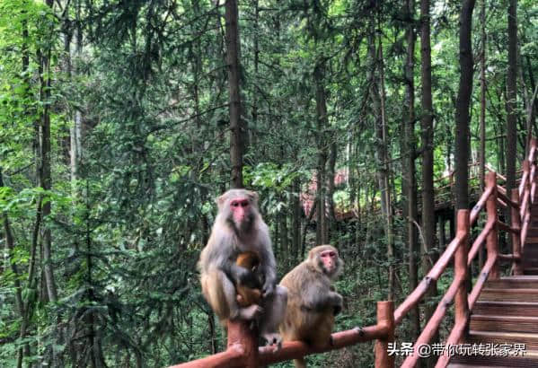 张家界时光自驾游介绍2019年暑假去张家界旅游攻略