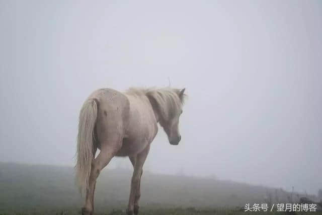 记一次难忘的川西之旅