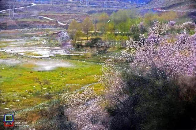 太全了！西宁最适合一日游的周边乡村景点，够你任性玩一年