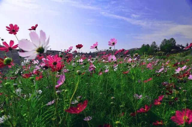 太全了！西宁最适合一日游的周边乡村景点，够你任性玩一年