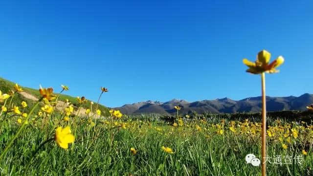 太全了！西宁最适合一日游的周边乡村景点，够你任性玩一年