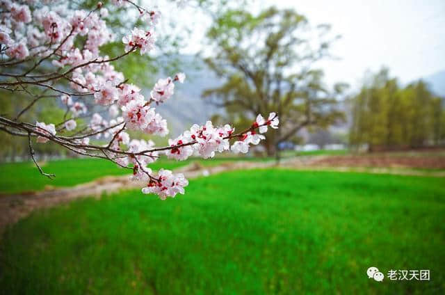 太全了！西宁最适合一日游的周边乡村景点，够你任性玩一年