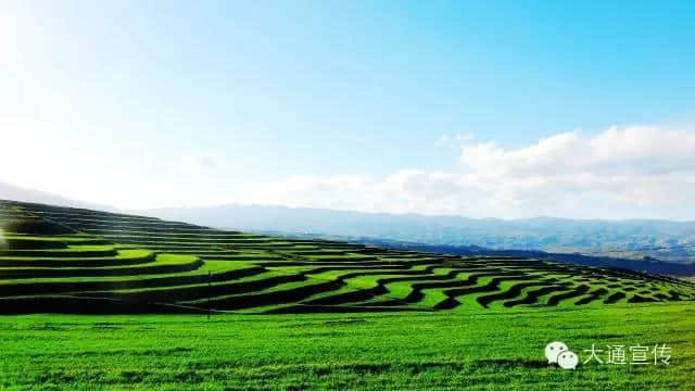 太全了！西宁最适合一日游的周边乡村景点，够你任性玩一年