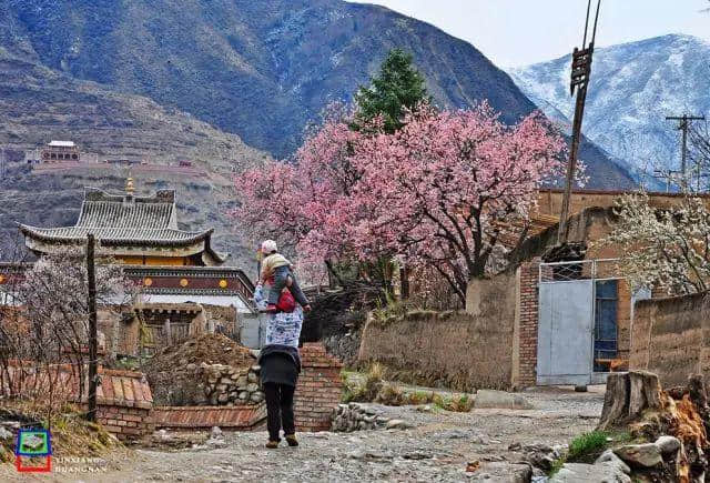 太全了！西宁最适合一日游的周边乡村景点，够你任性玩一年