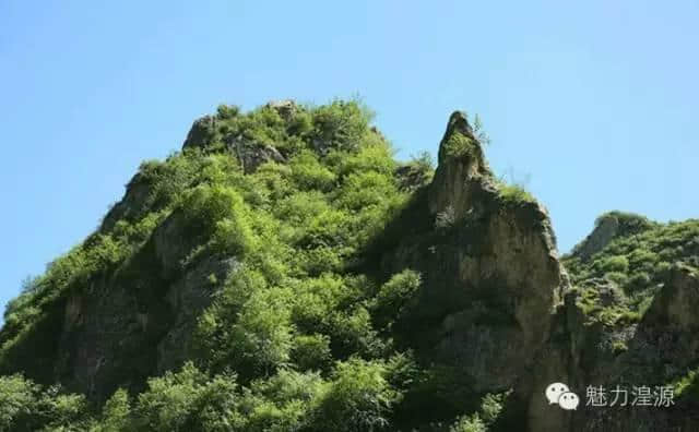 太全了！西宁最适合一日游的周边乡村景点，够你任性玩一年